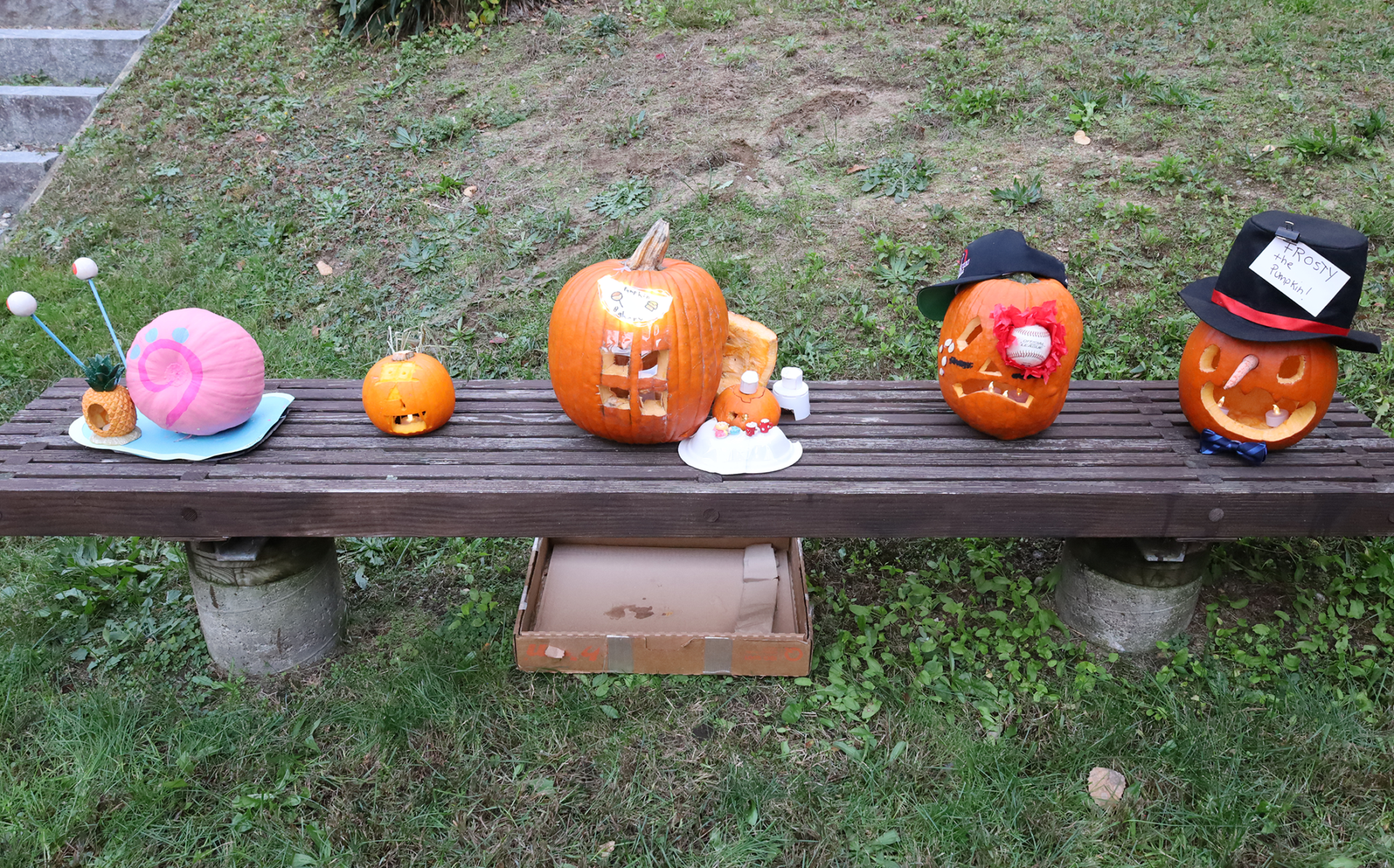 Parker Pizza, Paperbacks and Pumpkins Carved and creatively decorated pumpkins were the highlight of the Pizza, Paperbacks and Pumpkins event at Parker Middle School on Wednesday, Oct. 21, 2026.