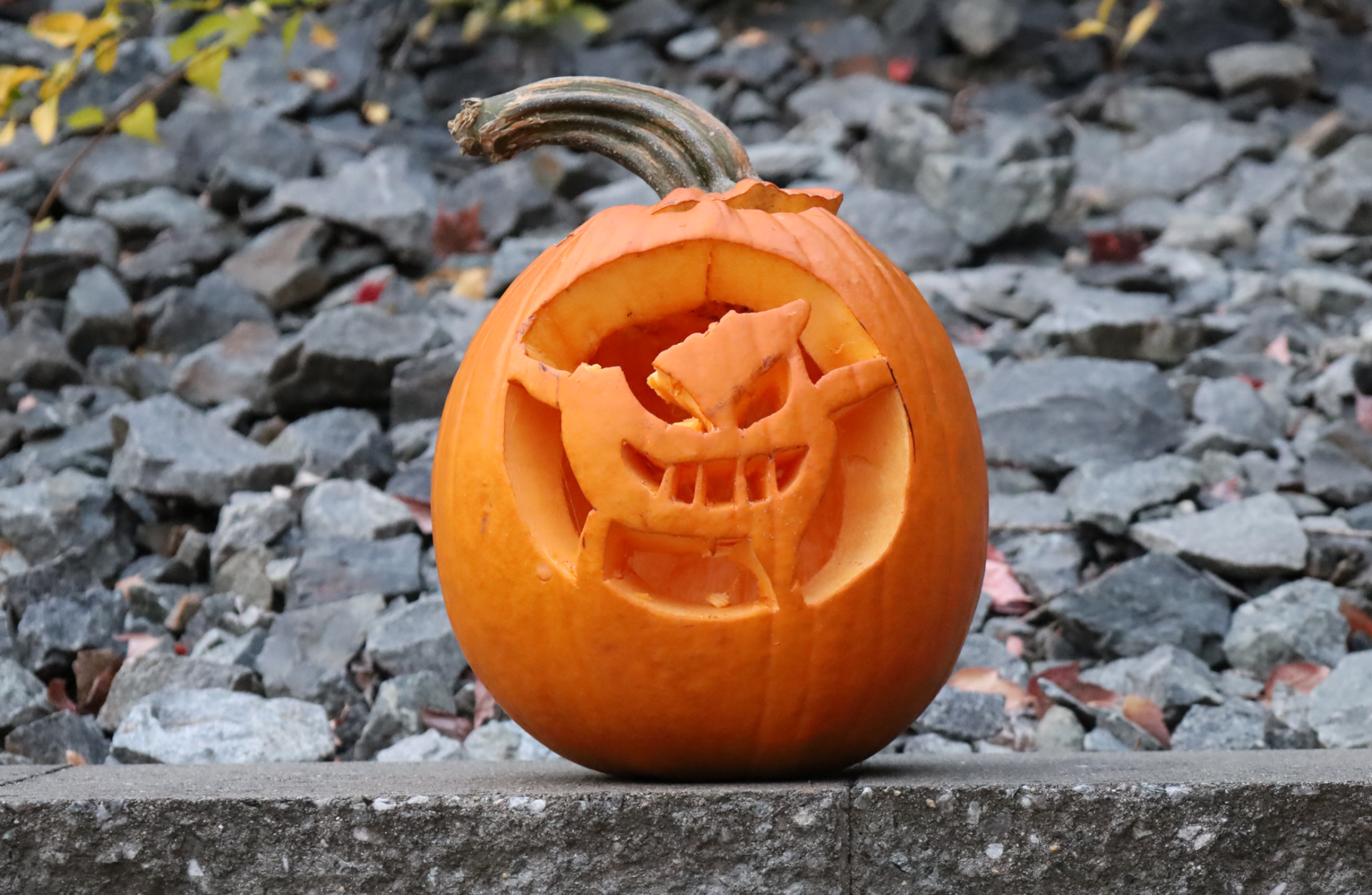 Parker Pizza, Paperbacks and Pumpkins Carved and creatively decorated pumpkins were the highlight of the Pizza, Paperbacks and Pumpkins event at Parker Middle School on Wednesday, Oct. 21, 2026.